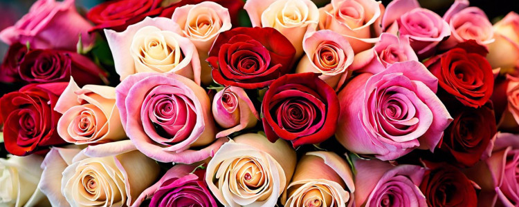 Магазин цветов Линия розы: идеальное место для заказа и доставки прекрасных букетов